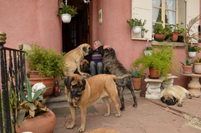 Continental Bulldogs Seeblickbulls Bilderalbum - Paula in Le Hohwald