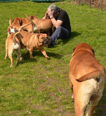 Continental Bulldogs Seeblickbulls Bilderalbum - Bilder vom April 2014